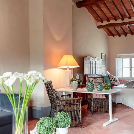 Brunetta, Discover Your Modern But Traditional In Lucca