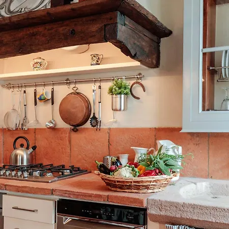 Brunetta, Discover Your Modern But Traditional In Lucca * カパンノリ